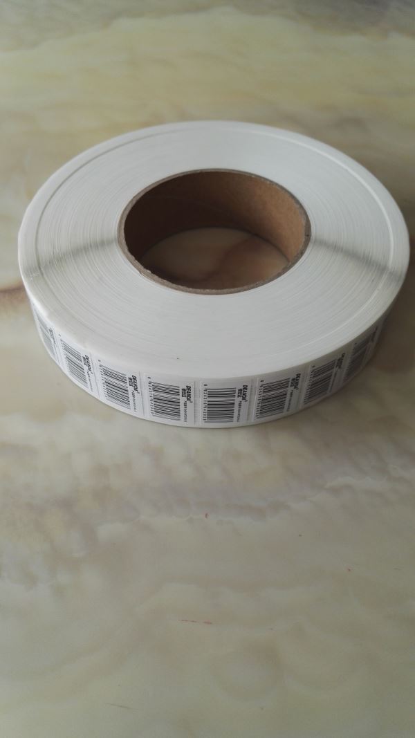 IMG_20170227_122858.jpg IMG_20170227_122858.jpg