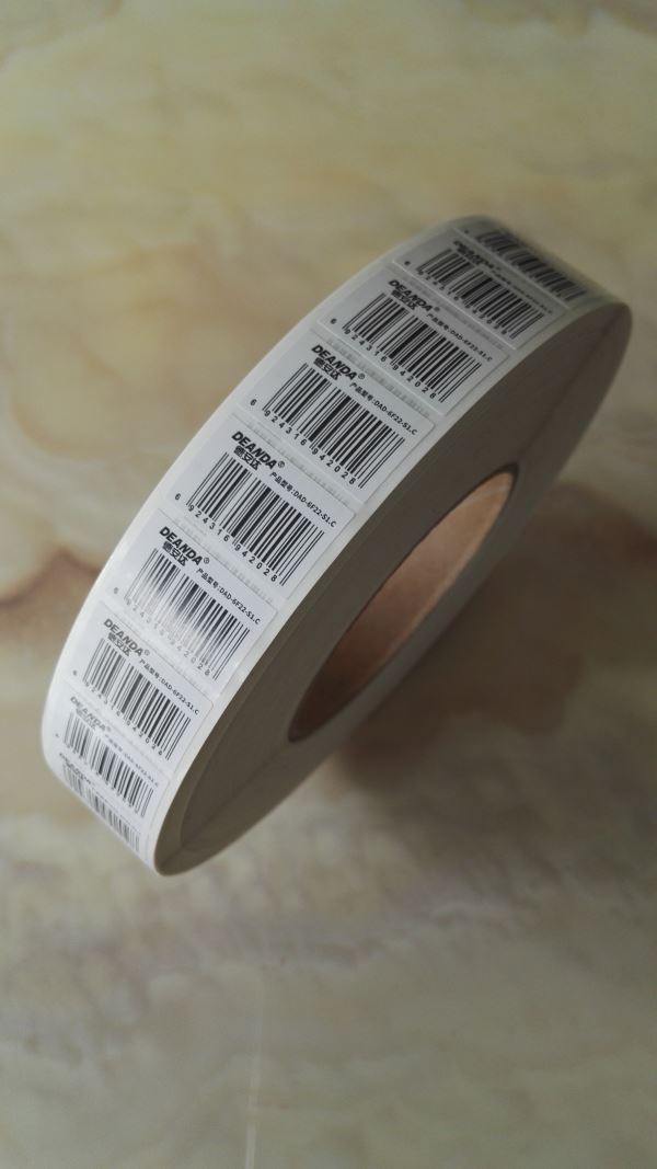 IMG_20170227_122910.jpg IMG_20170227_122910.jpg