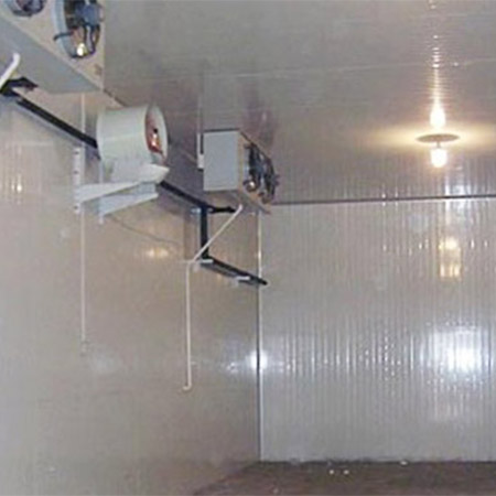 食用菌保鮮冷庫(kù)