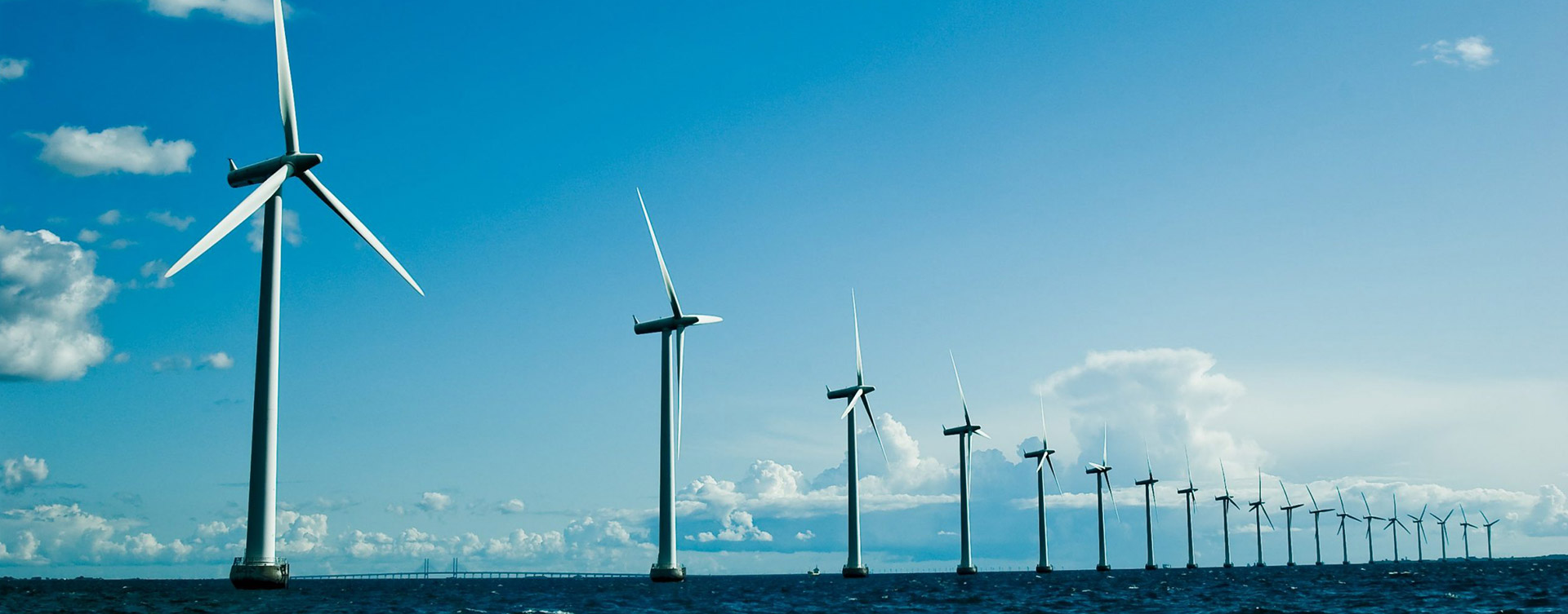 冷庫(kù)設(shè)備工程案例